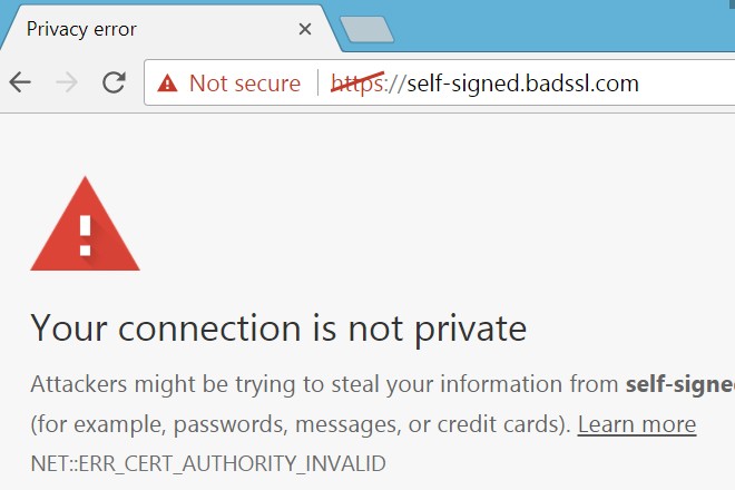 What is an SSL certificate and what is the business impact?, Screwloose IT